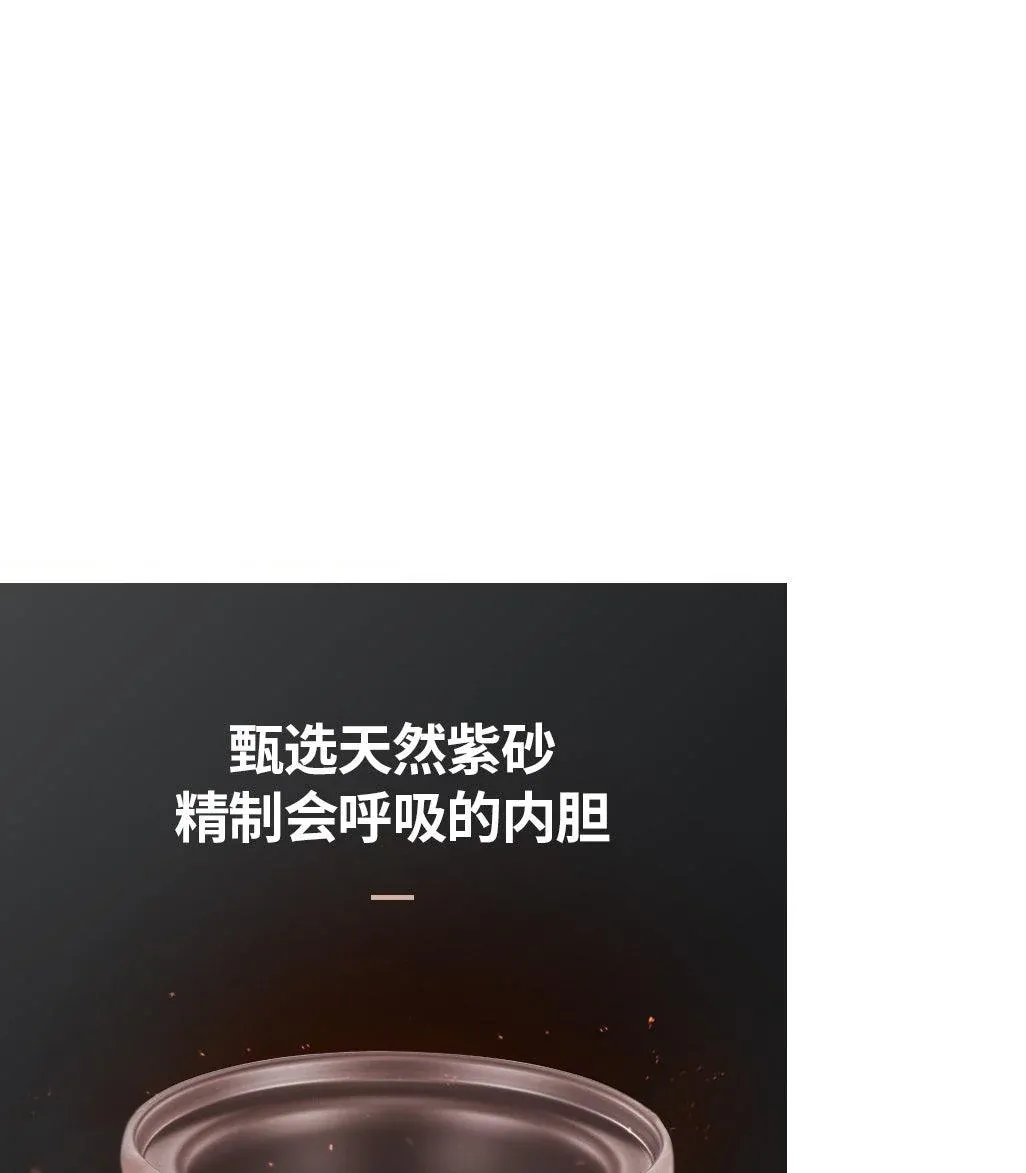 ZSD-7381: Zeno Slow Cooker, Purple Clay inner pot, 3L - Image 4