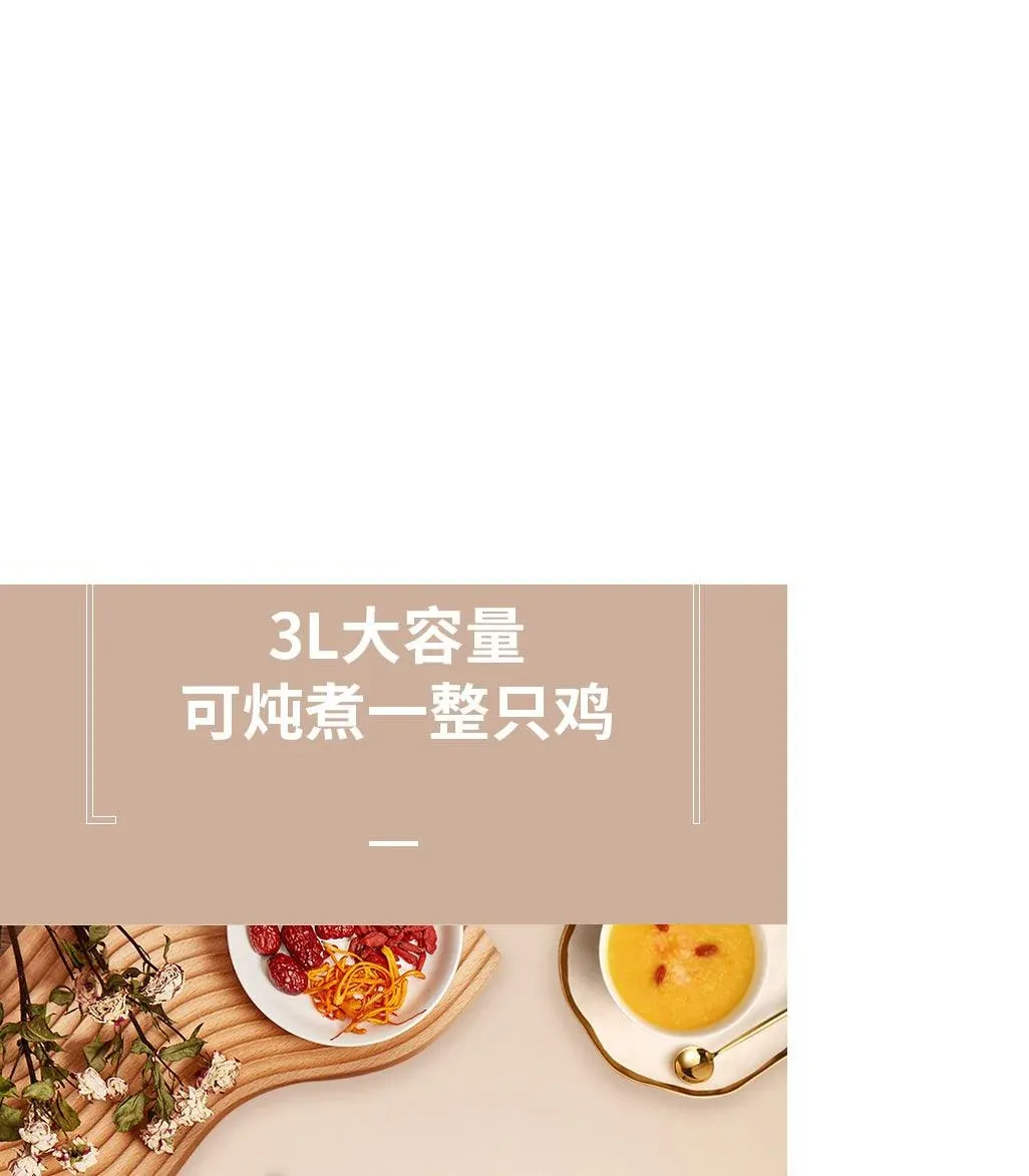 ZSD-7381: Zeno Slow Cooker, Purple Clay inner pot, 3L - Image 5